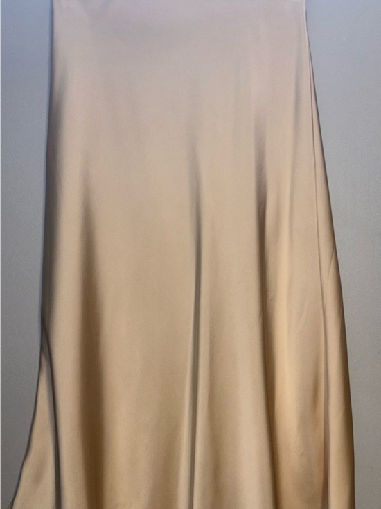 Dresses & Skirts - Silky Champagne Maxi Skirt